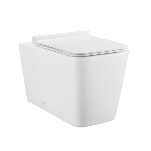 Wall Hung Toilet - SM-WT555 Concorde Back To Wall Concealed Tank Toilet Bowl