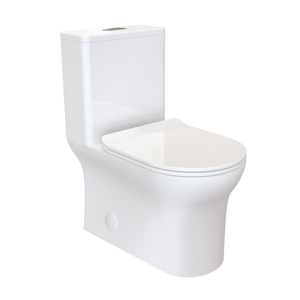 Dual Flush Toilet - SM-1T111 Burdon One Piece Toilet Dual Flush 0.8/1.28 Gpf