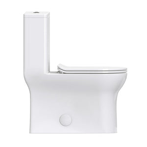 Dual Flush Toilet - SM-1T111 Burdon One Piece Toilet Dual Flush 0.8/1.28 Gpf