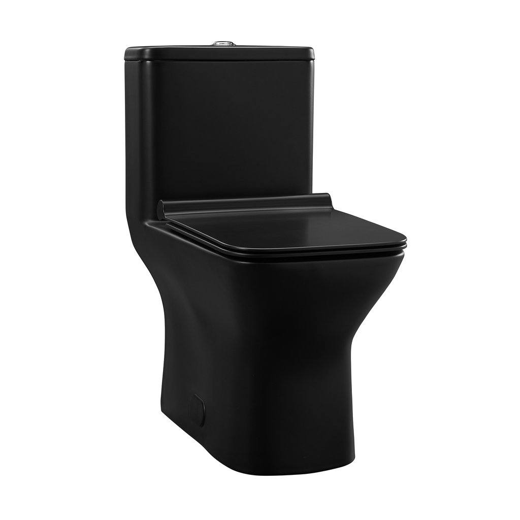 Dual Flush Toilet - SM-1T256MB Carre One Piece Elongated Toilet Dual Flush In Matte Black 0.8/1.28 Gpf