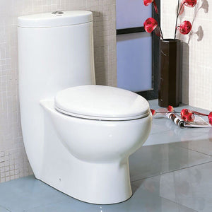 One Piece Toilet - EAGO TB309 Tall Dual Flush One Piece Eco-friendly High Efficiency Low Flush Ceramic Toilet
