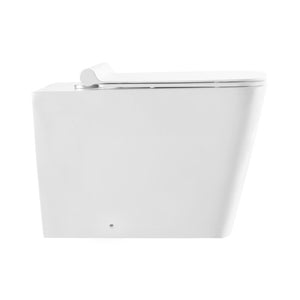Wall Hung Toilet - SM-WT555 Concorde Back To Wall Concealed Tank Toilet Bowl